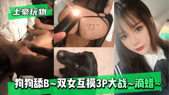 猫咪AV成人永久网站,人禽杂交18禁网站免费